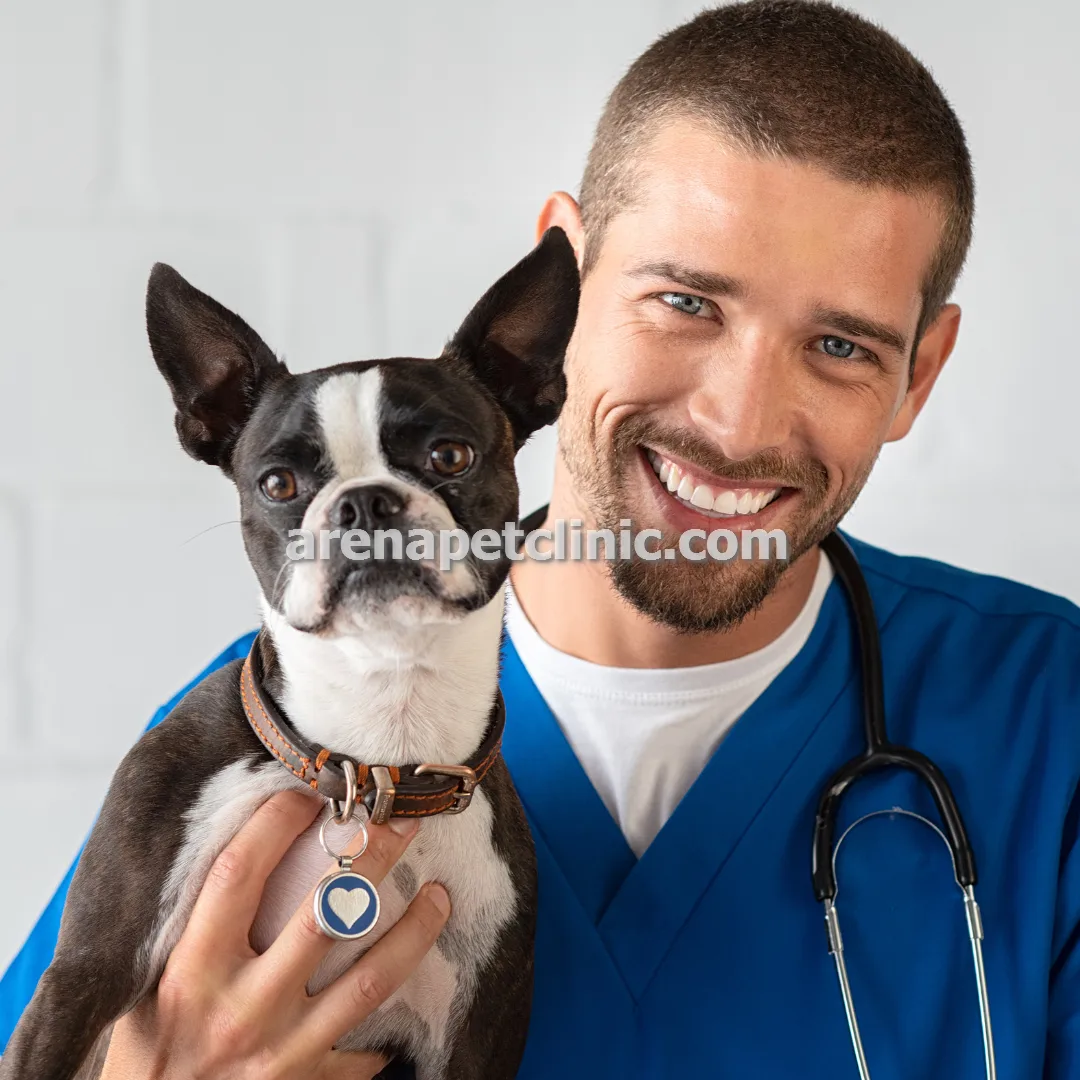 ارائه دهنده ی خدمات دامپزشکی در غرب تهران