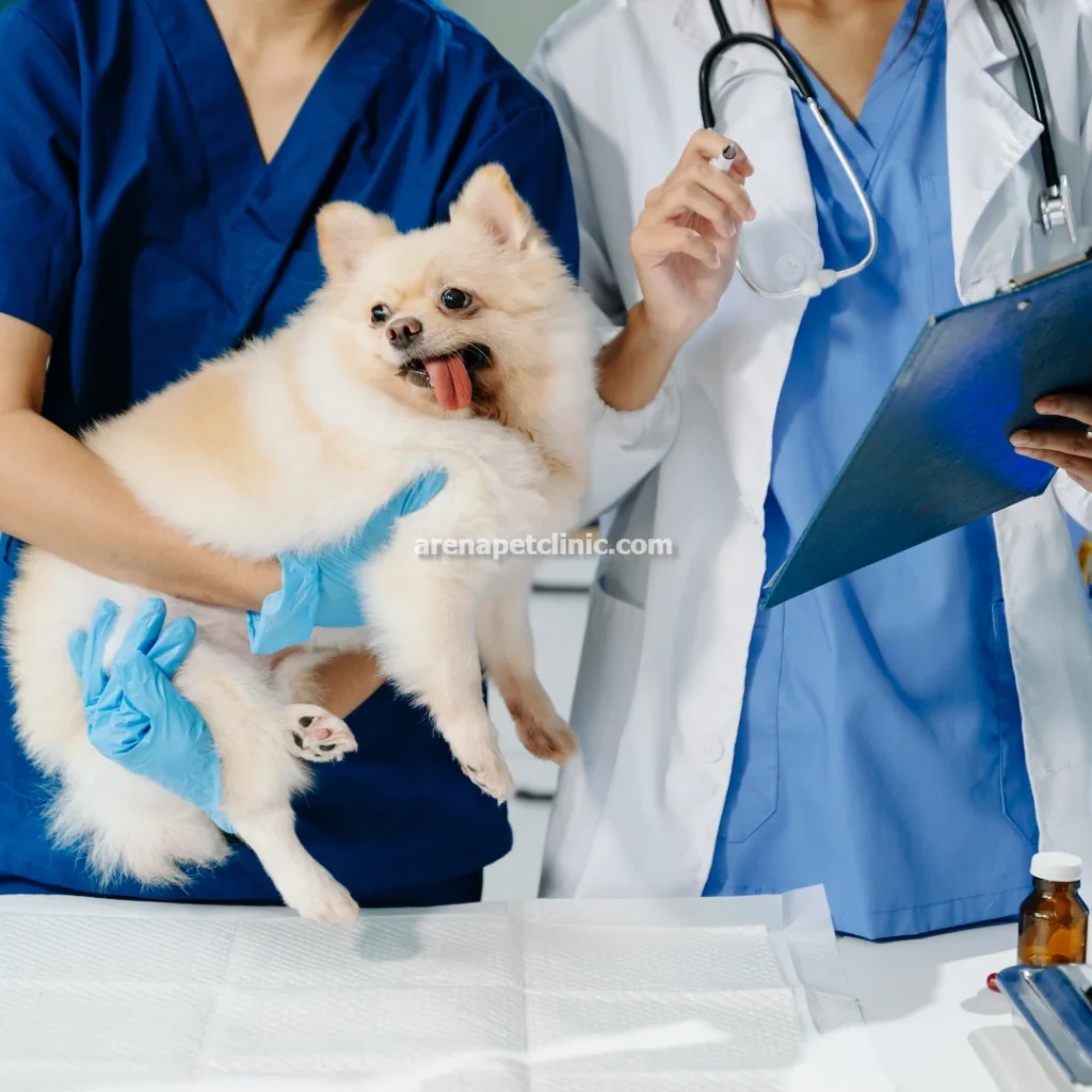 دامپزشکی معاینه و چکاپ دوره ای در غرب تهران