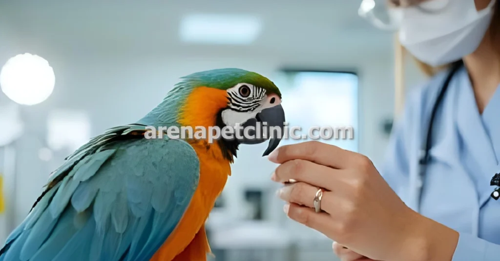 کلینیک دامپزشکی پرندگان در غرب تهران