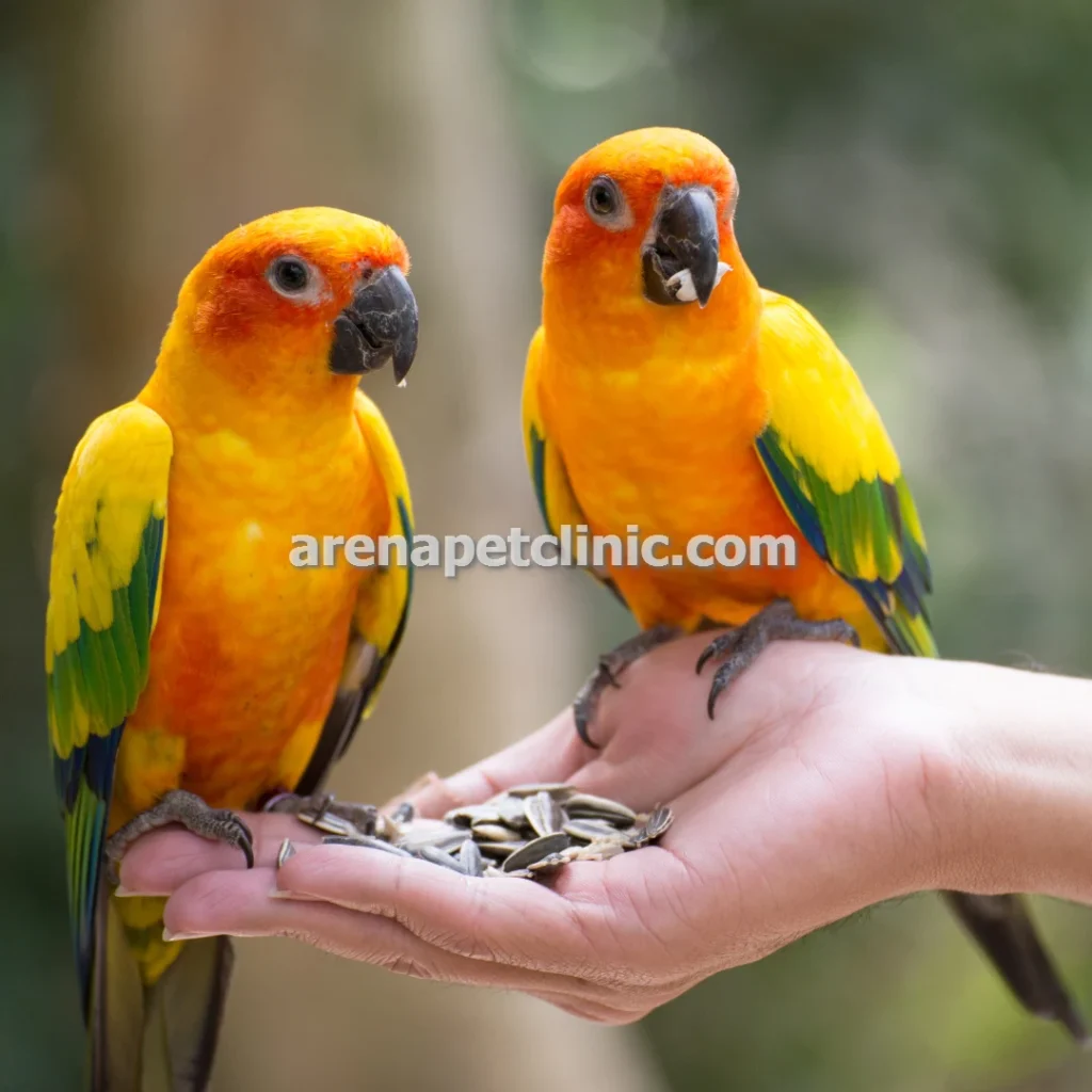 دامپزشکی پرندگان شبانه روزی غرب تهران