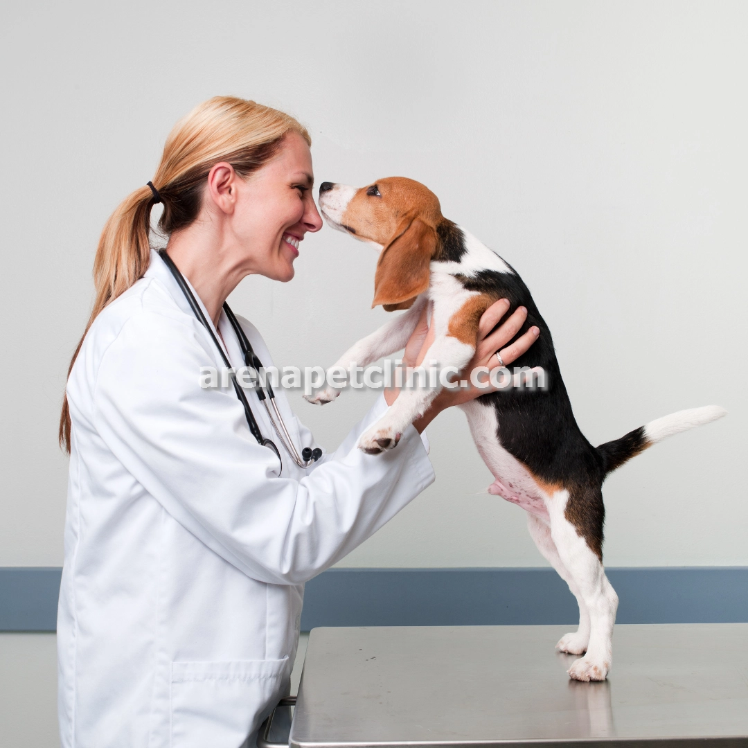 دامپزشکی و جراحی تخصصی در غرب تهران